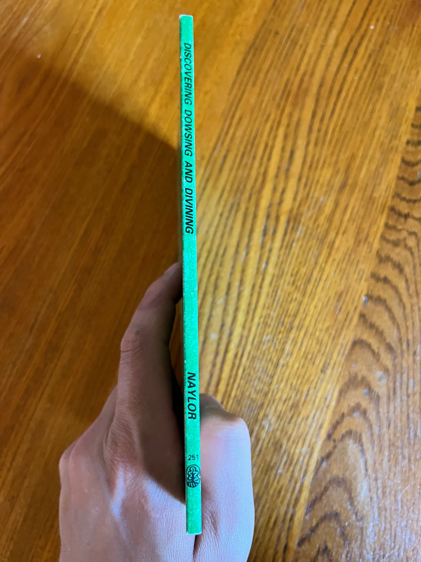 Discovering Dowsing and Divining - Peter Naylor