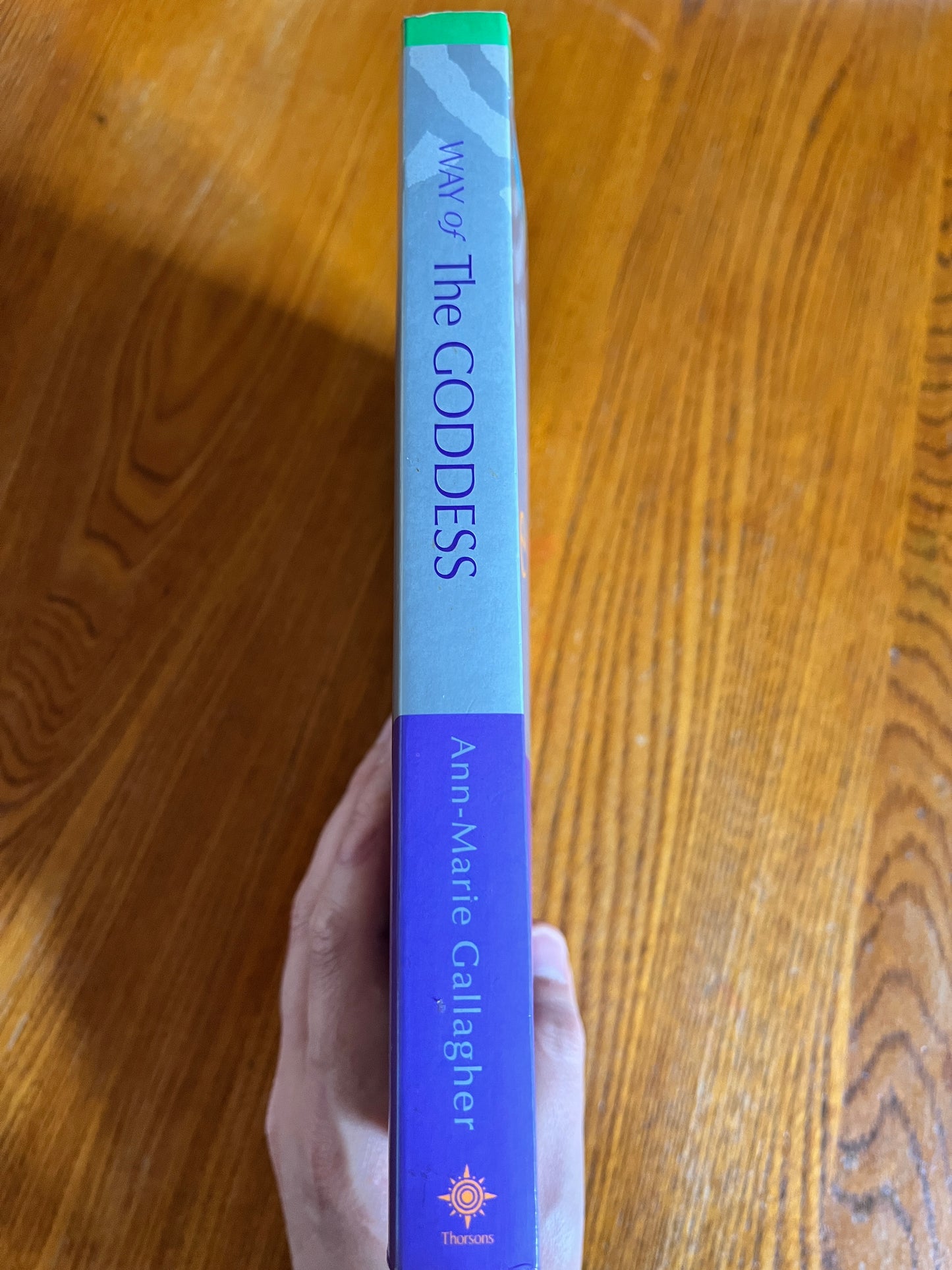 Way of the Goddess - Ann-Marie Gallagher (First Edition)
