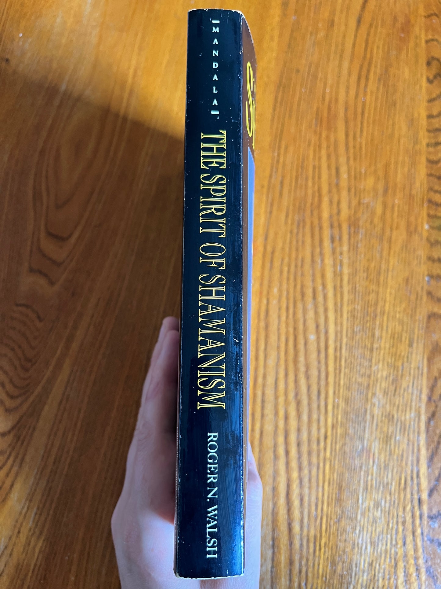 The Spirit of Shamanism - Roger N Walsh (First Edition)