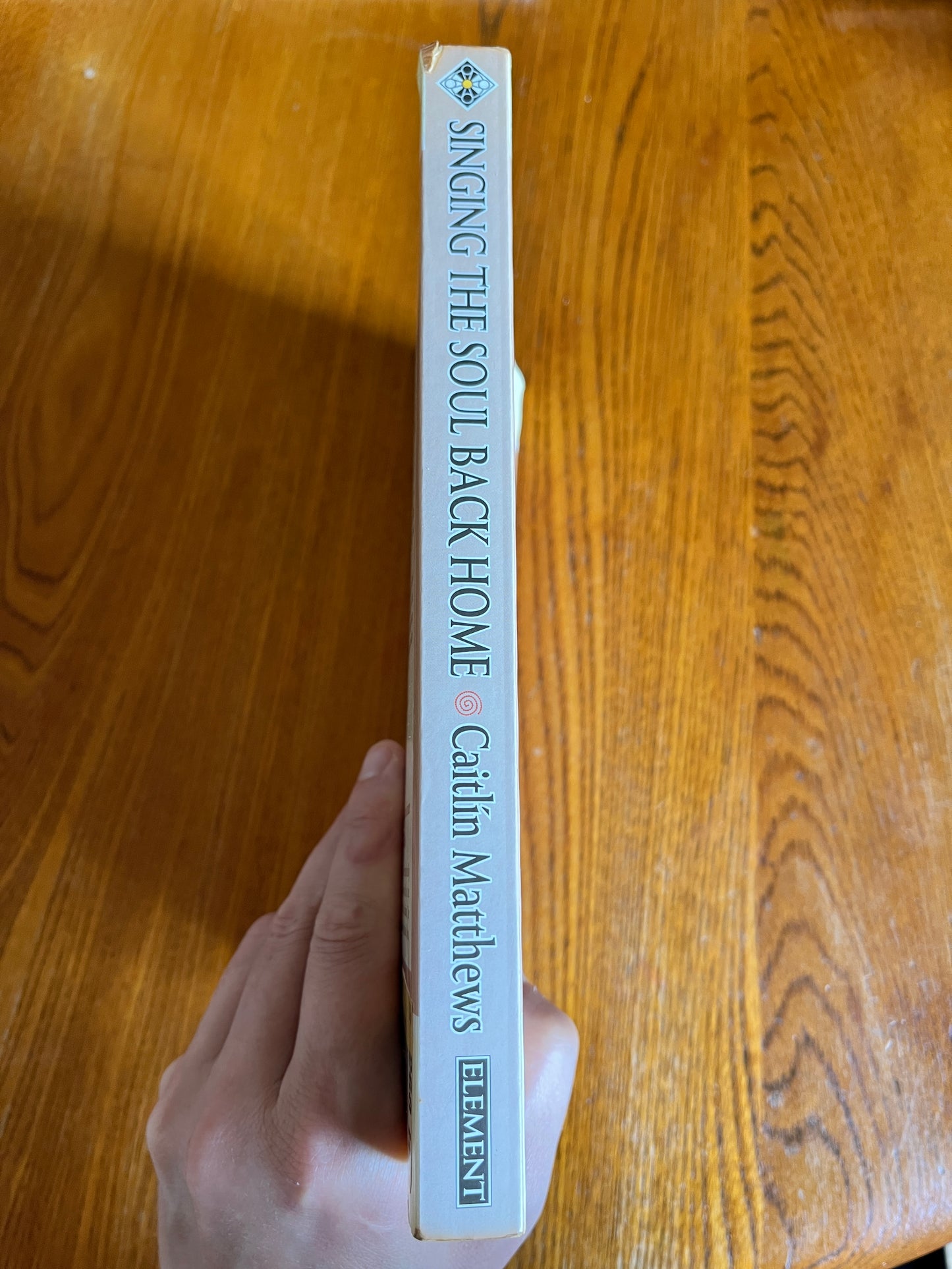 Singing the Soul Back Home: Shamanism in Daily Life - Caitlín Matthews