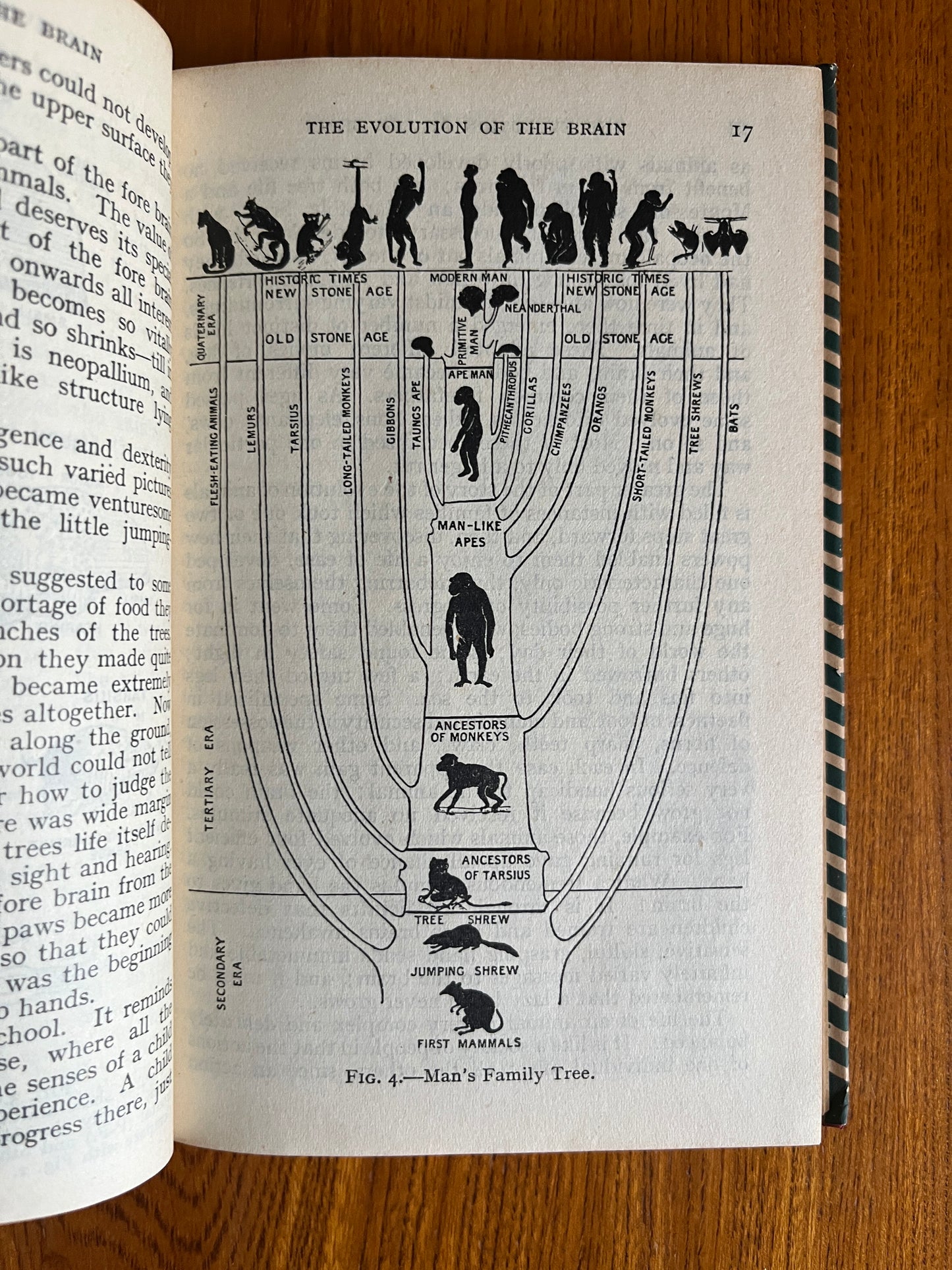 Men of Dawn - Dorothy Davison