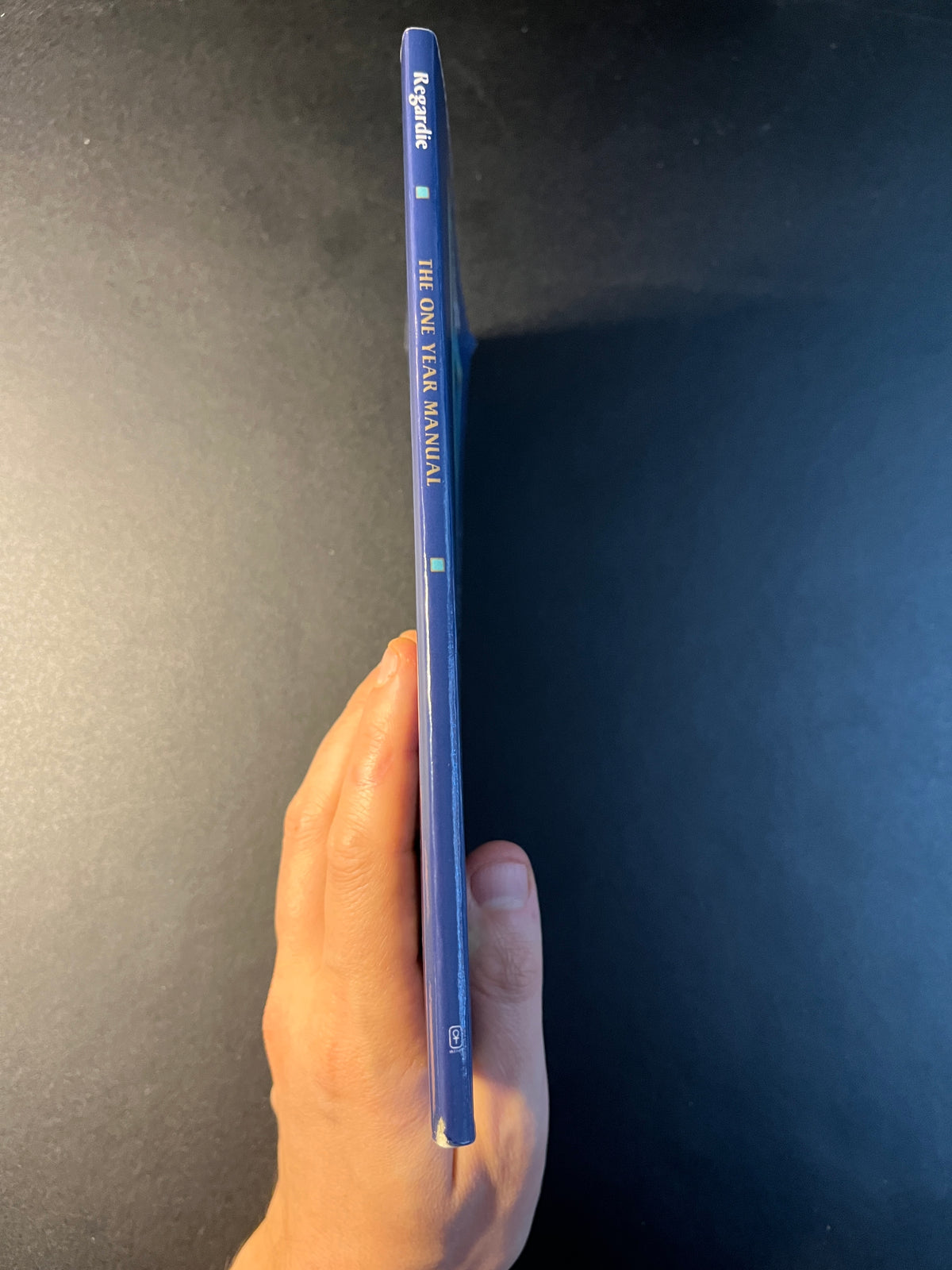 The One Year Manual: Twelve Steps to Spiritual Enlightenment - Israel Regardie