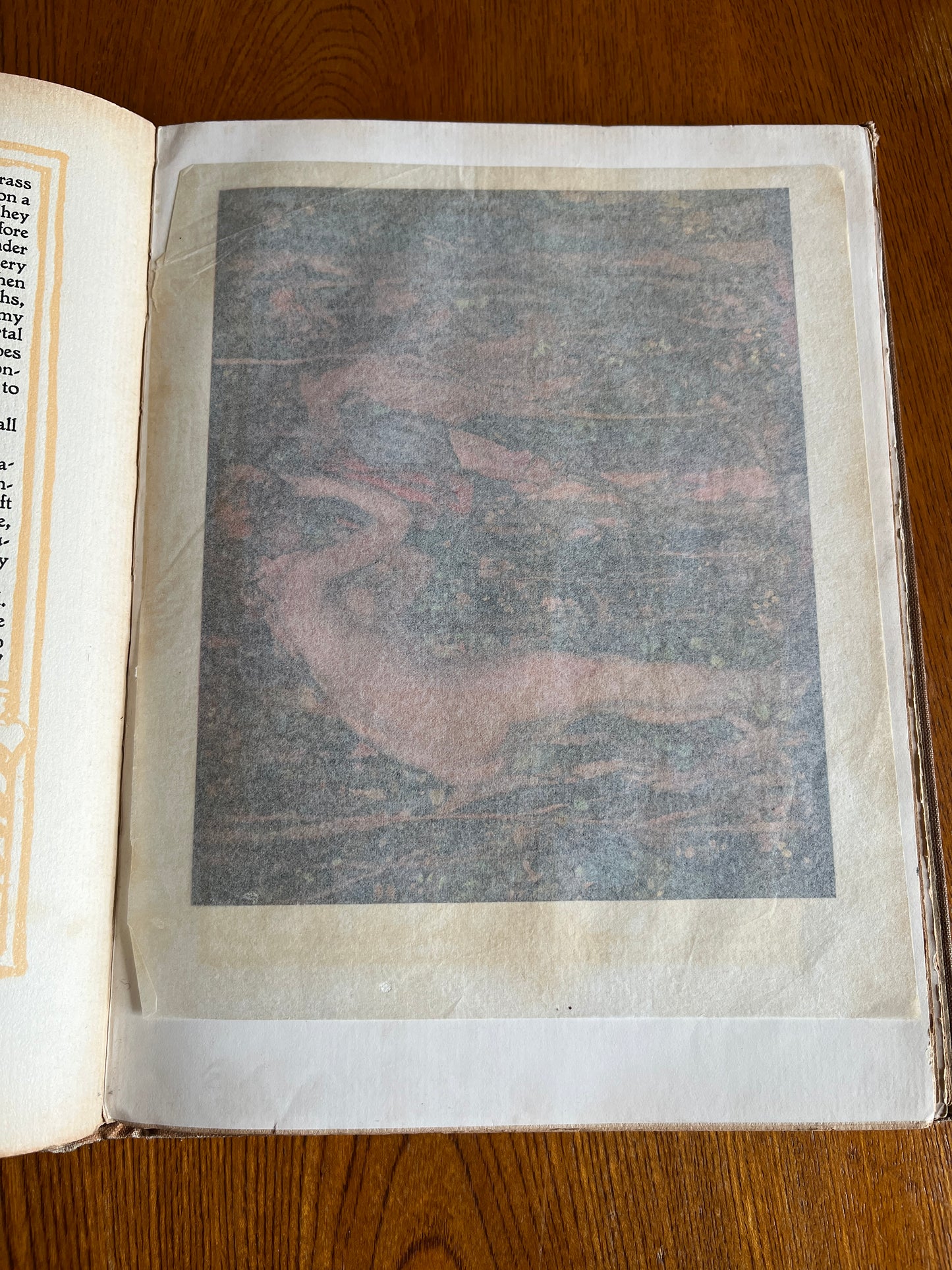 The Girl and the Faun - Eden Phillpotts (First Edition 1916)