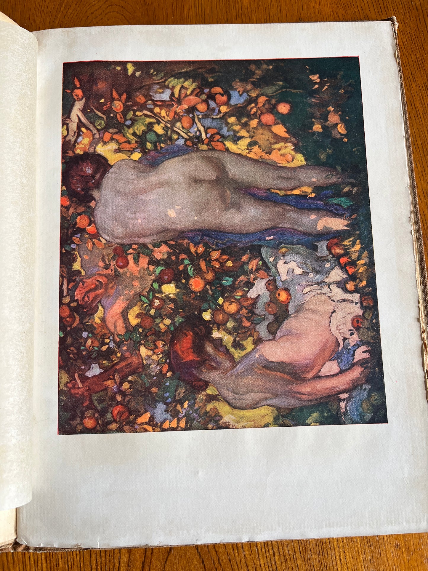 The Girl and the Faun - Eden Phillpotts (First Edition 1916)