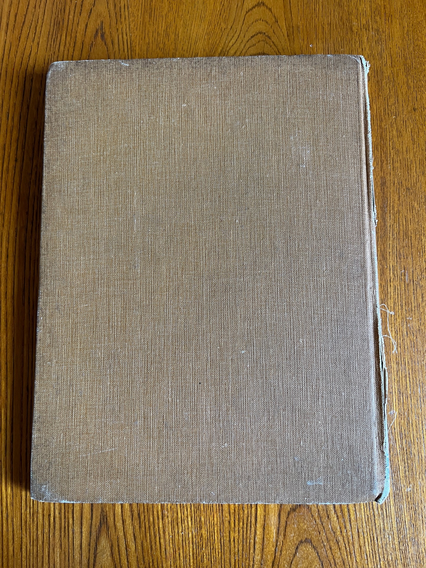 The Girl and the Faun - Eden Phillpotts (First Edition 1916)