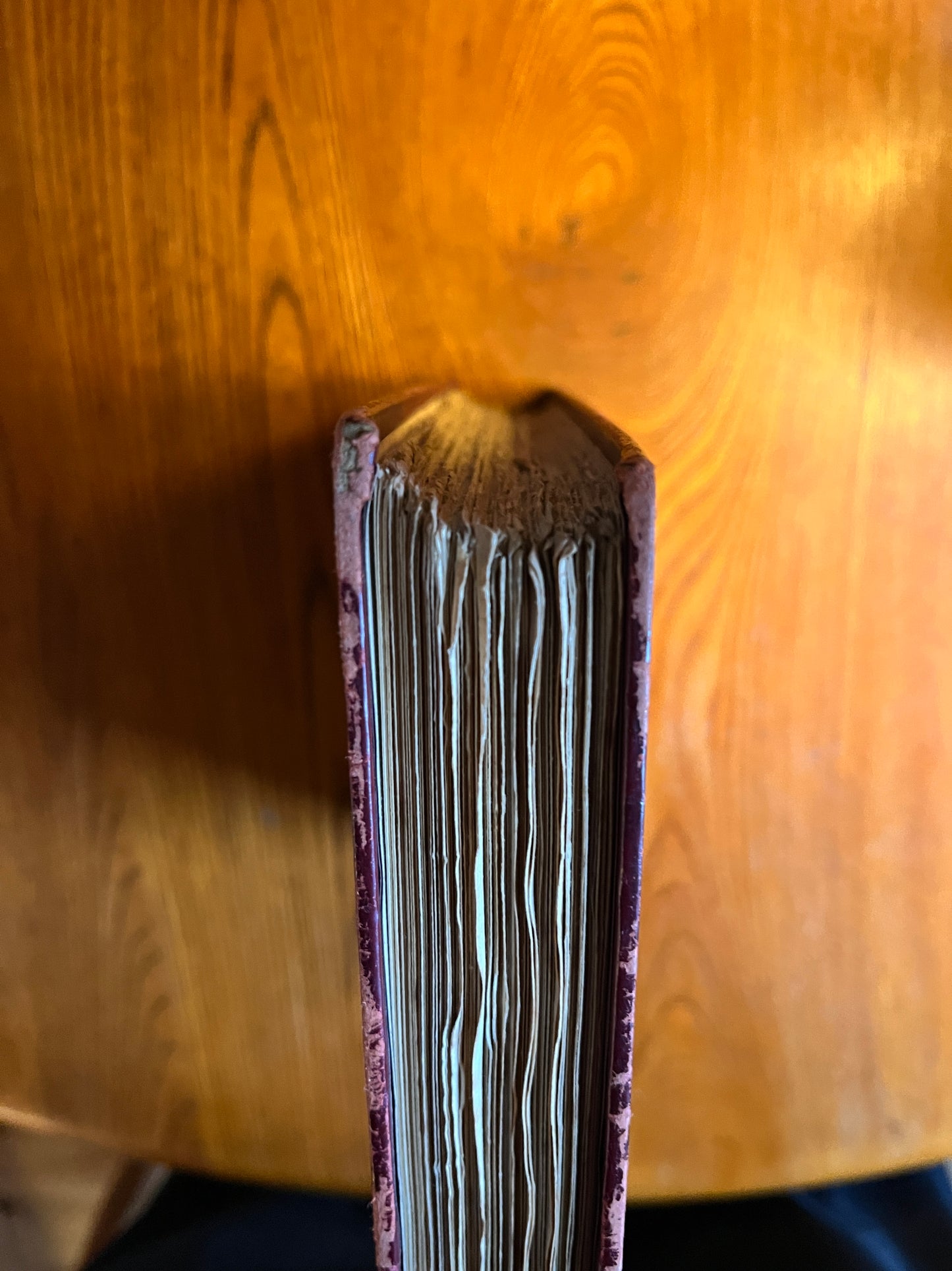 The Golden Ass of Apuleius - 1893