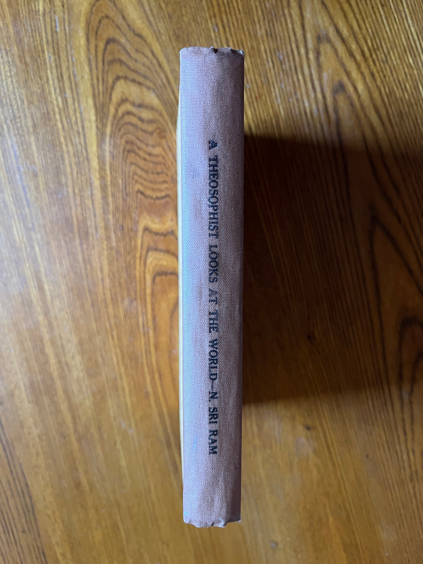 A Theosophist Looks at the World – N. Sri Ram