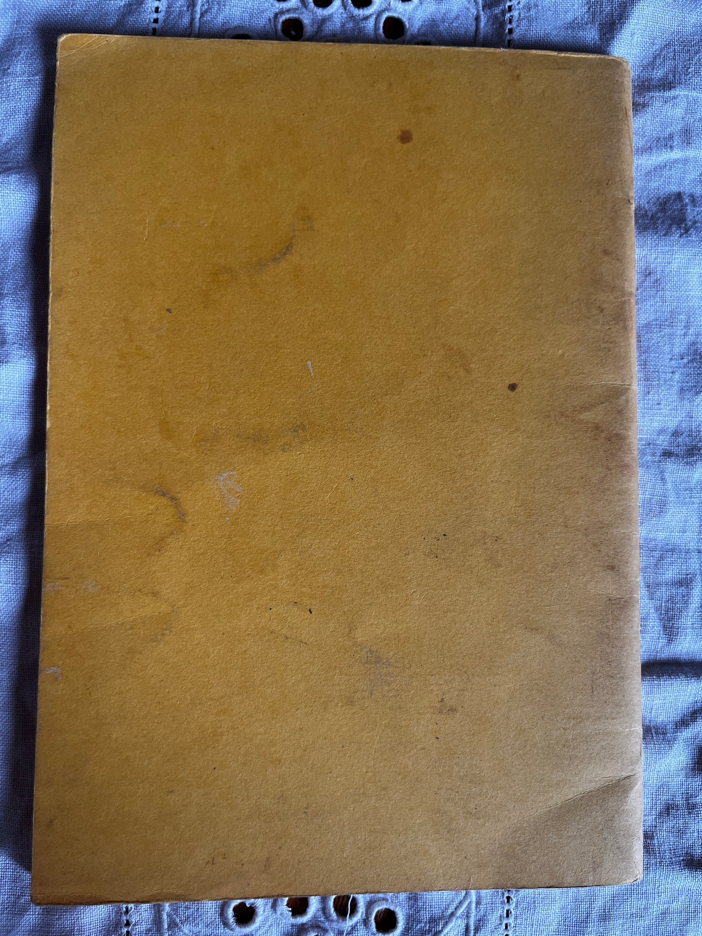 The Sun Goddess - Sinead Sula Grian (SIGNED Rare Zine 1986)