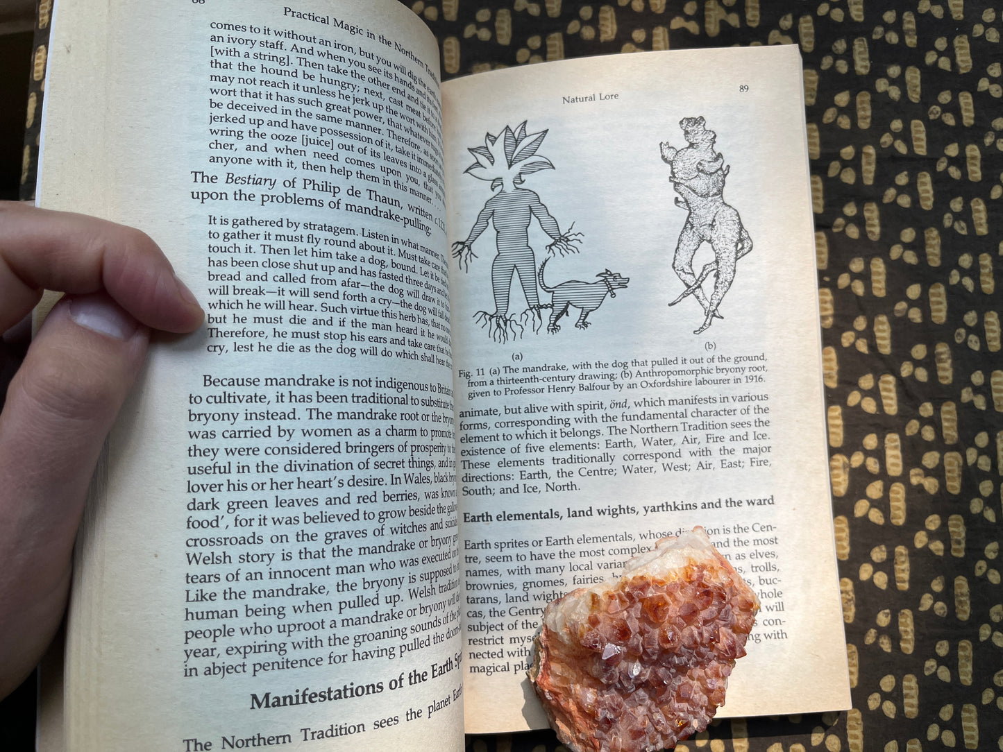 Practical Magic in the Northern Tradition - Nigel Pennick