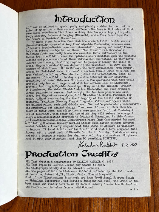 Druidism: An Assessment - Kaledon Naddair (RARE ZINE)