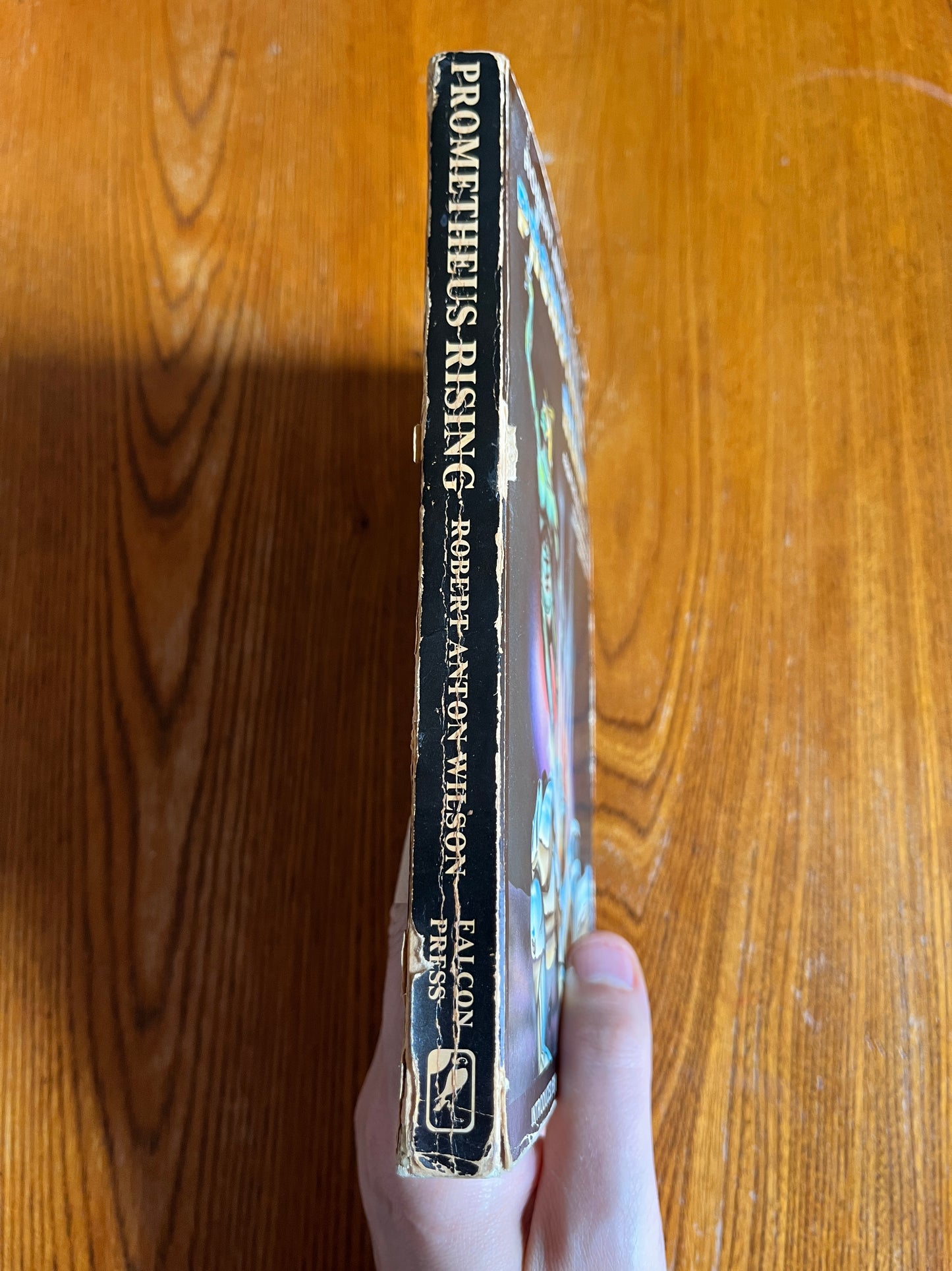 Prometheus Rising - Robert Anton Wilson (First Edition)