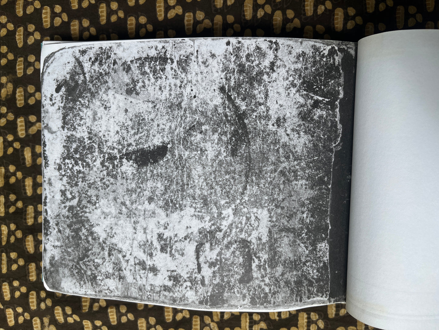 The Blake Varley Sketchbook - William Blake (First Ed. thus, slipcase, 1969 Trianon Press fascimile, with letters)