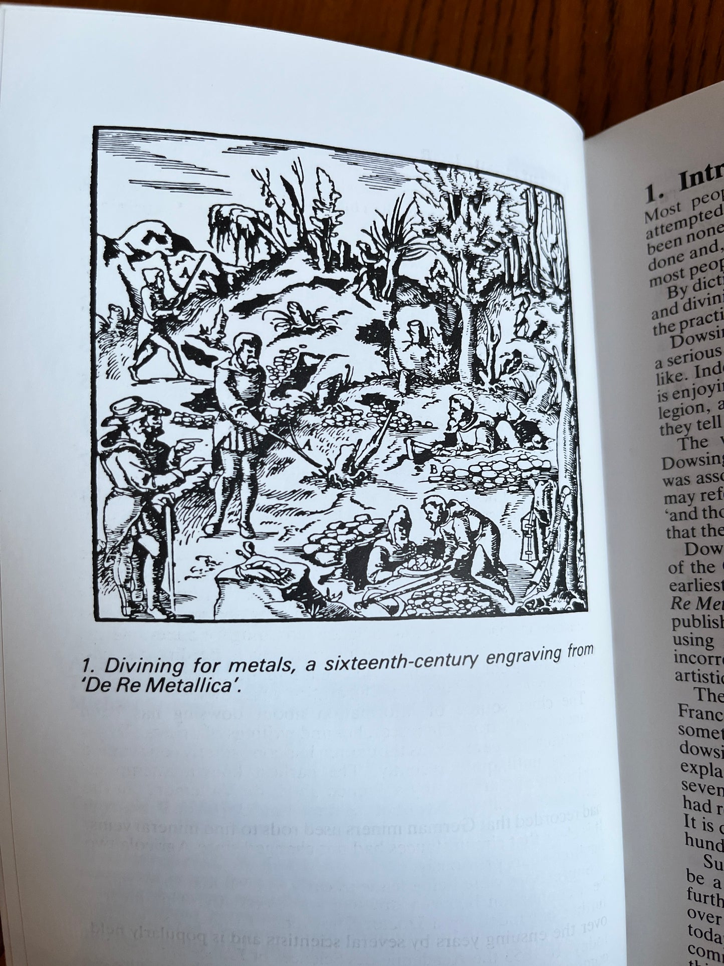 Discovering Dowsing and Divining - Peter Naylor