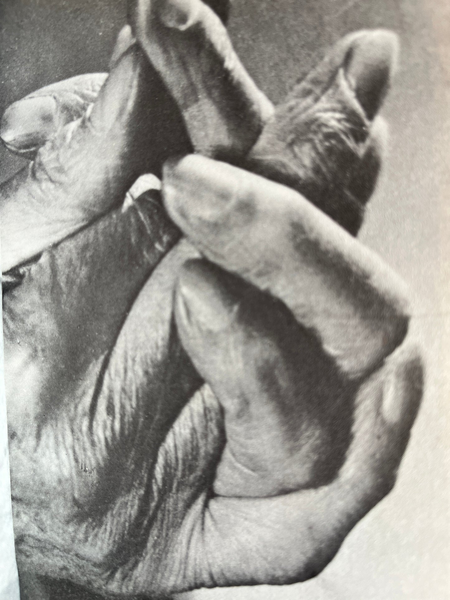 The Confessions of Aleister Crowley - Ed Kenneth Grant & John Symonds