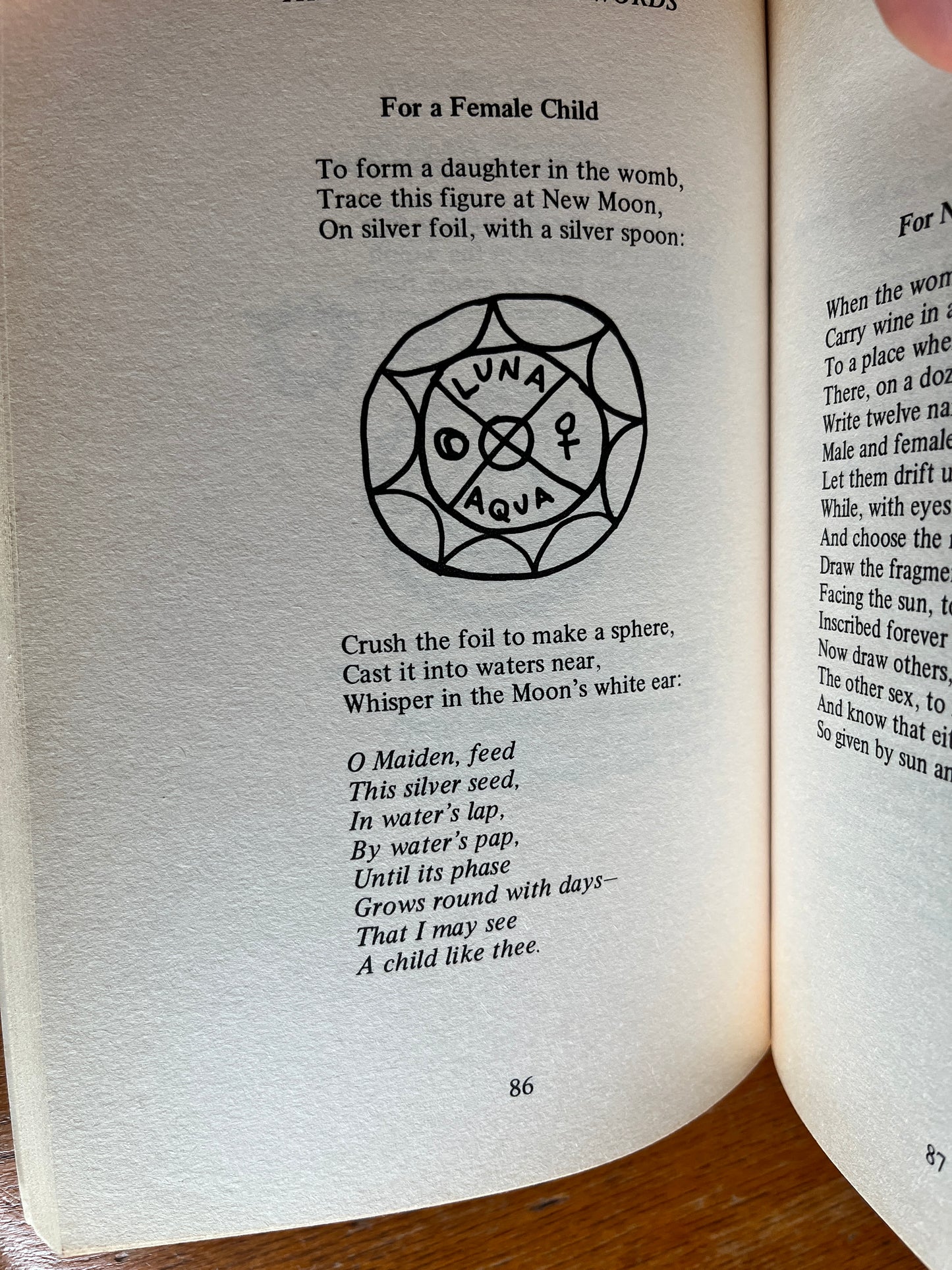 The Crone's Book of Words - Valerie Worth