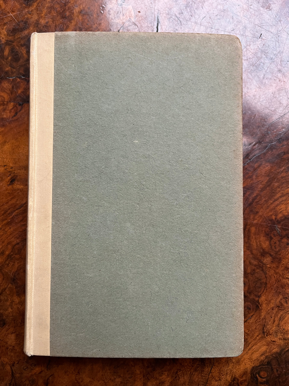 The Ancient One: To the Young Folks at Home - Esther Bright (1927 First Edition)