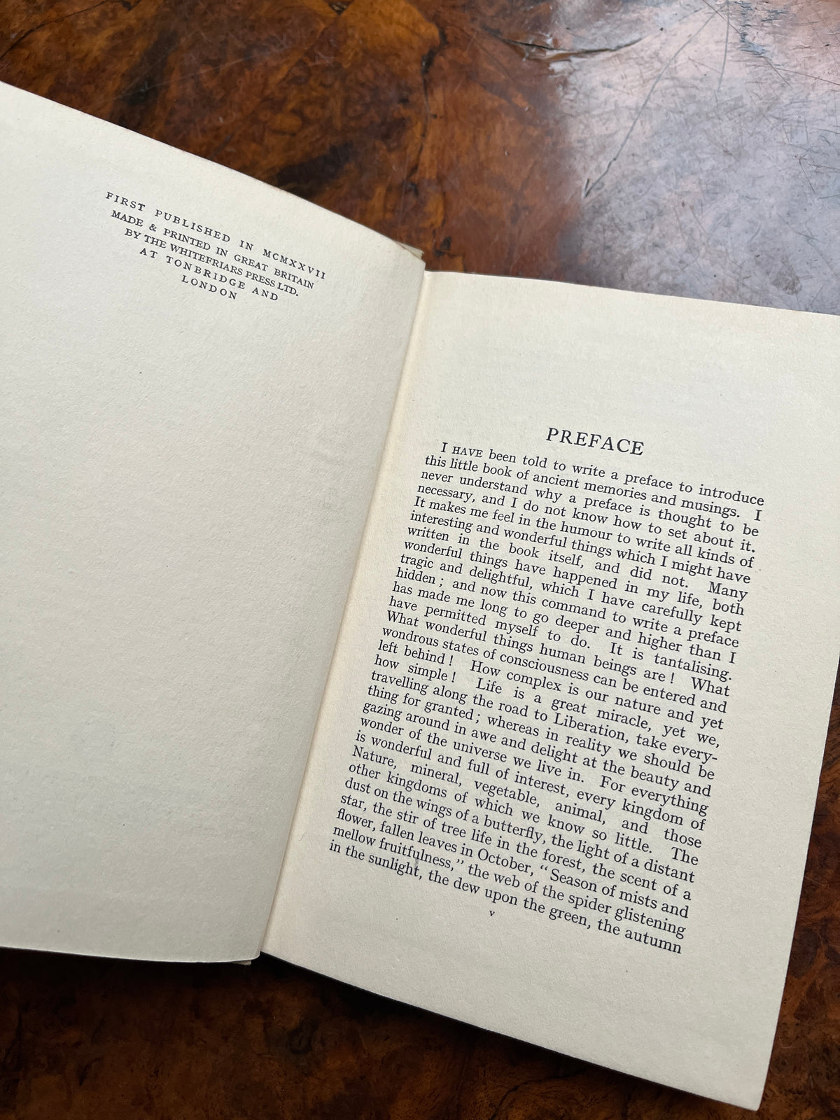 The Ancient One: To the Young Folks at Home - Esther Bright (1927 First Edition)