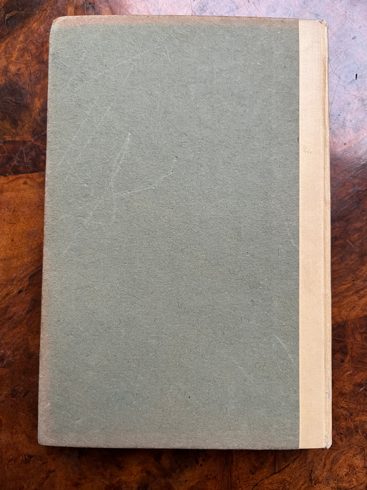 The Ancient One: To the Young Folks at Home - Esther Bright (1927 First Edition)