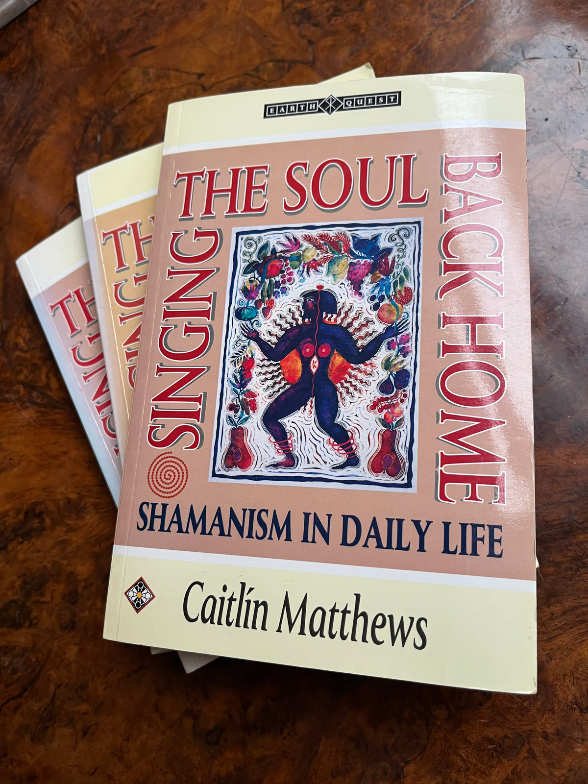 Singing the Soul Back Home: Shamanism in Daily Life - Caitlín Matthews