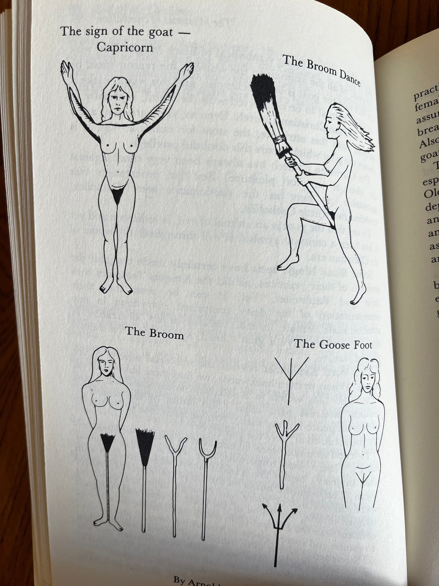 Lid off the Cauldron: A Wicca Handbook - Patricia Crowther