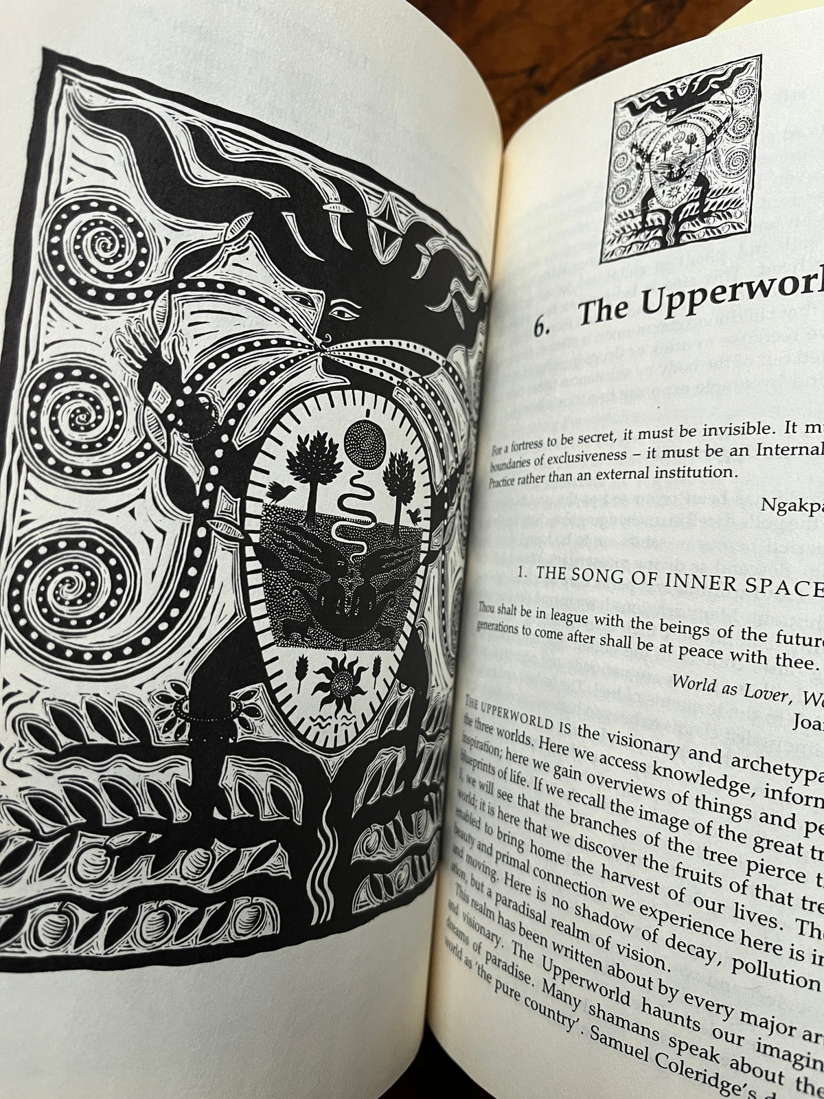 Singing the Soul Back Home: Shamanism in Daily Life - Caitlín Matthews
