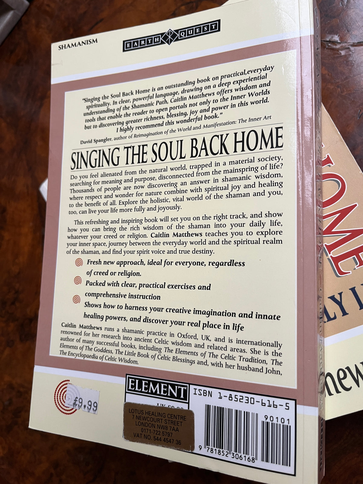 Singing the Soul Back Home: Shamanism in Daily Life - Caitlín Matthews