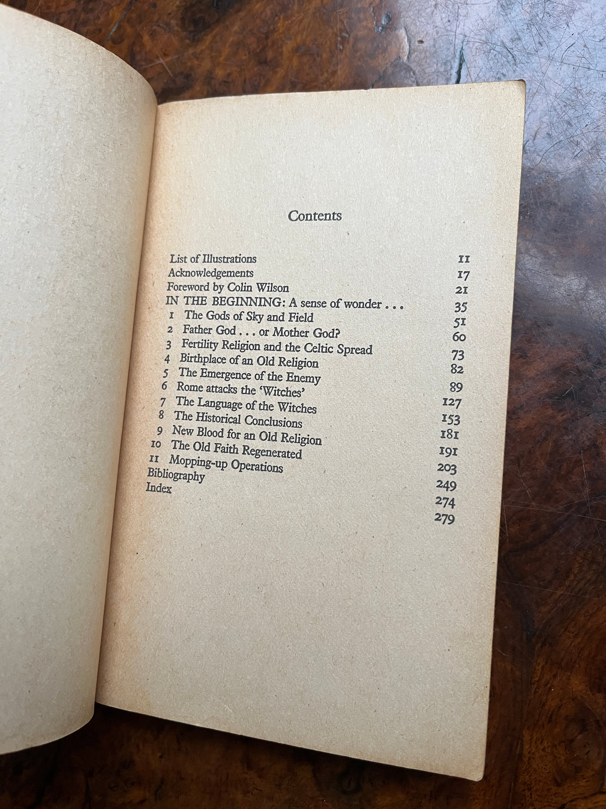 The Roots of Witchcraft - Michael Harrison