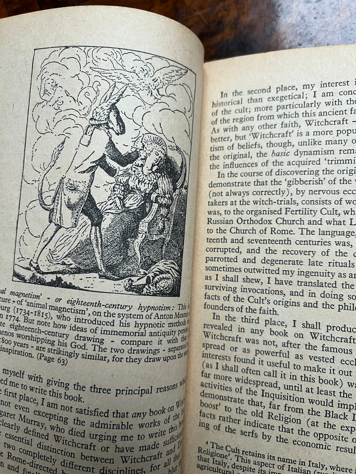 The Roots of Witchcraft - Michael Harrison
