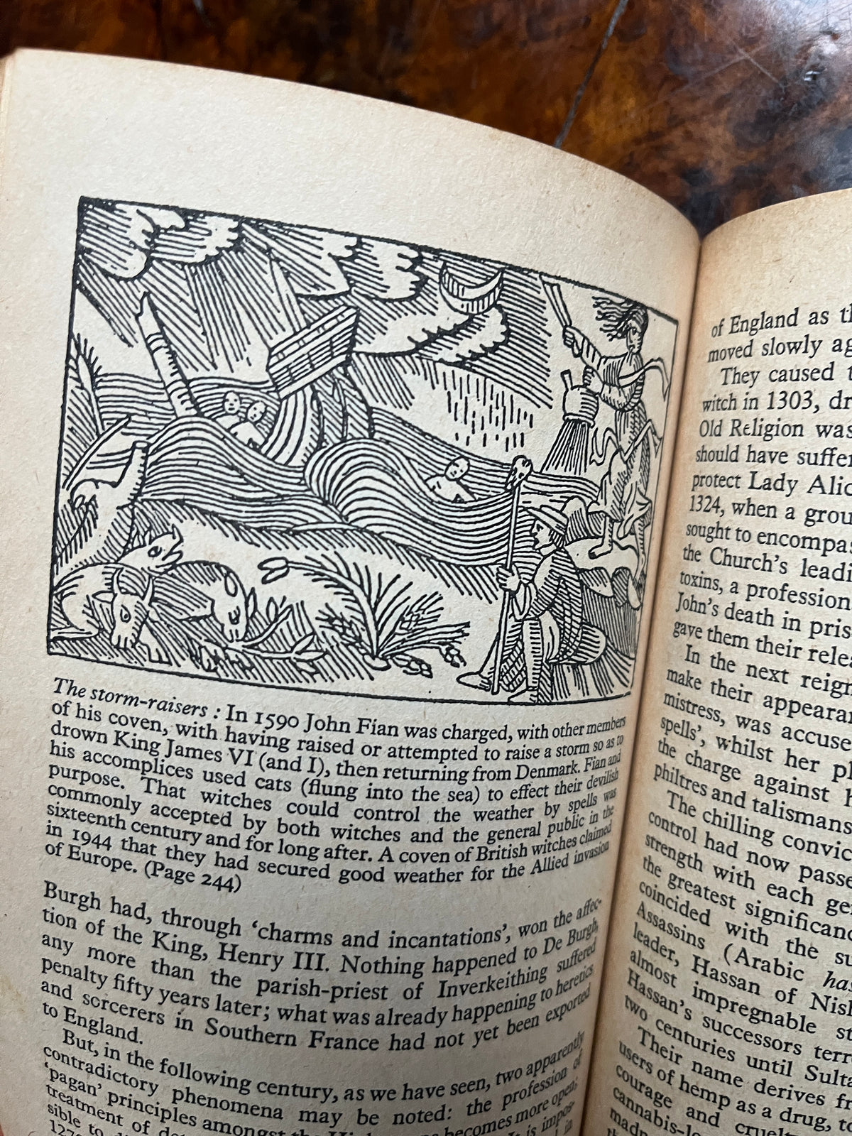 The Roots of Witchcraft - Michael Harrison