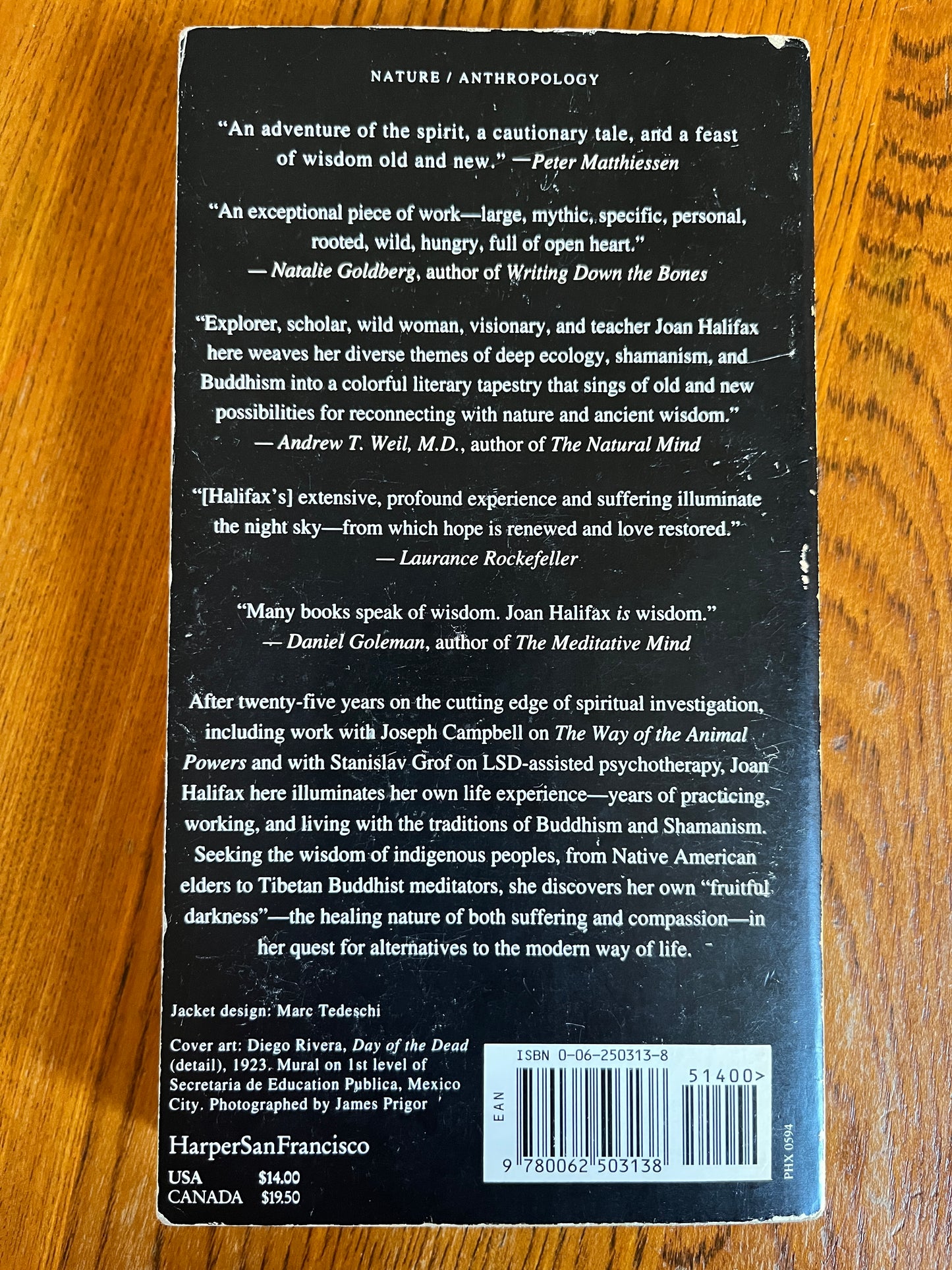 The Fruitful Darkness - Joan Halifax