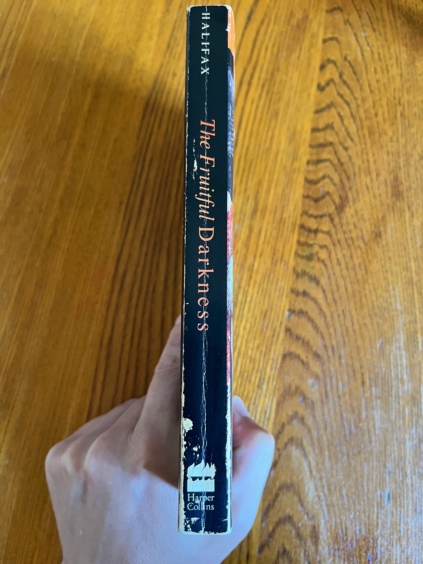 The Fruitful Darkness - Joan Halifax
