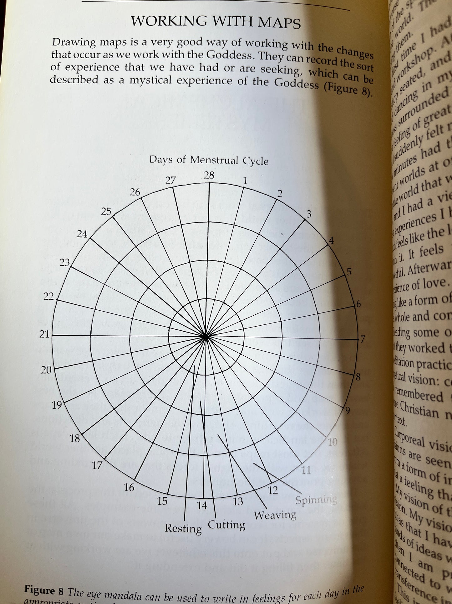 The Goddess Changes - Felicity Wombwell (First Edition)