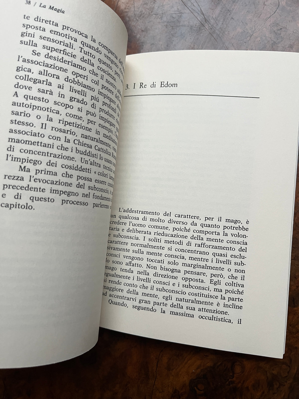 La Magia: Rituali e Poteri Magici - W E Butler (Italian Language)