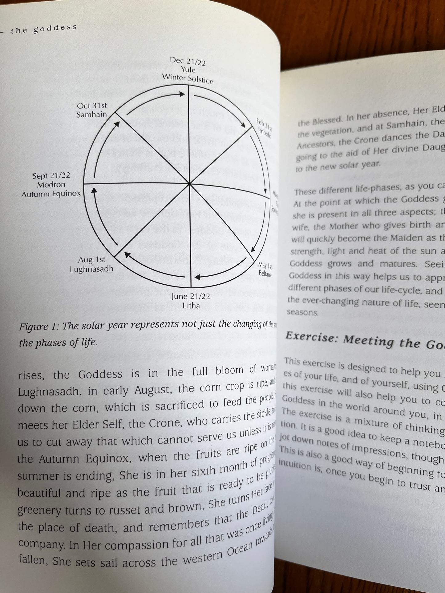 Way of the Goddess - Ann-Marie Gallagher (First Edition)
