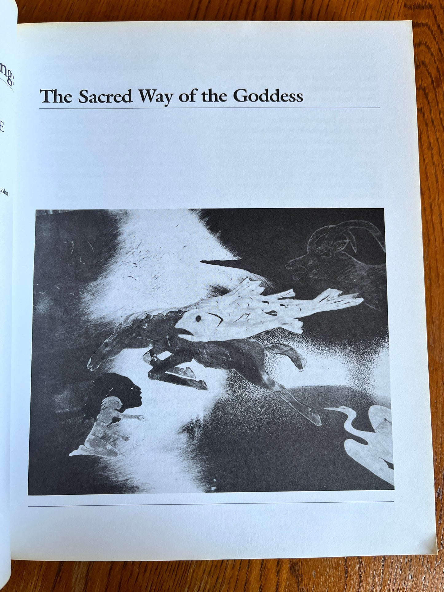 The Once & Future Goddess - Elinor W Gadon (First Edition)