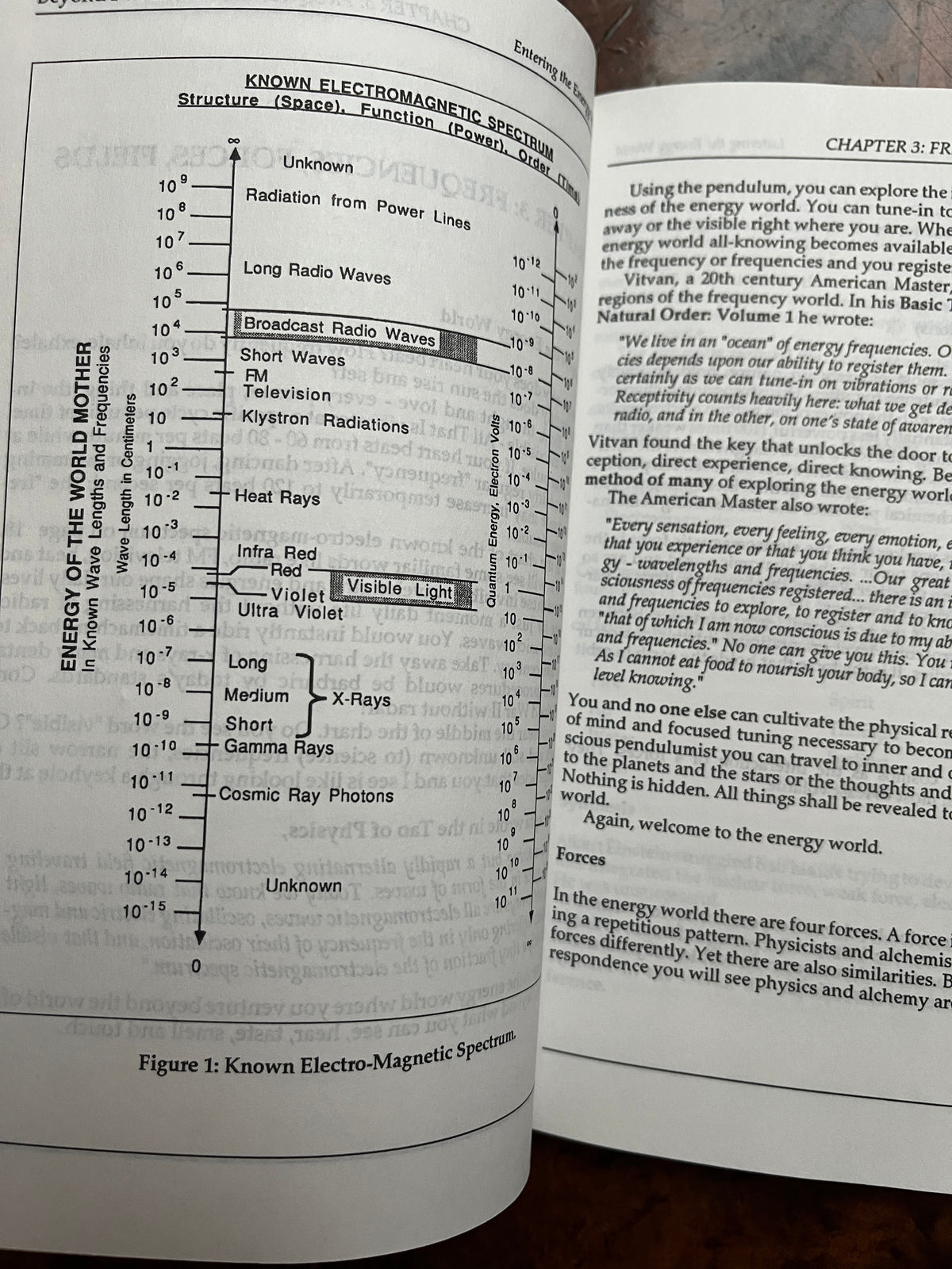 Beyond Pendulum Power: Entering the Energy World - Greg Nielsen