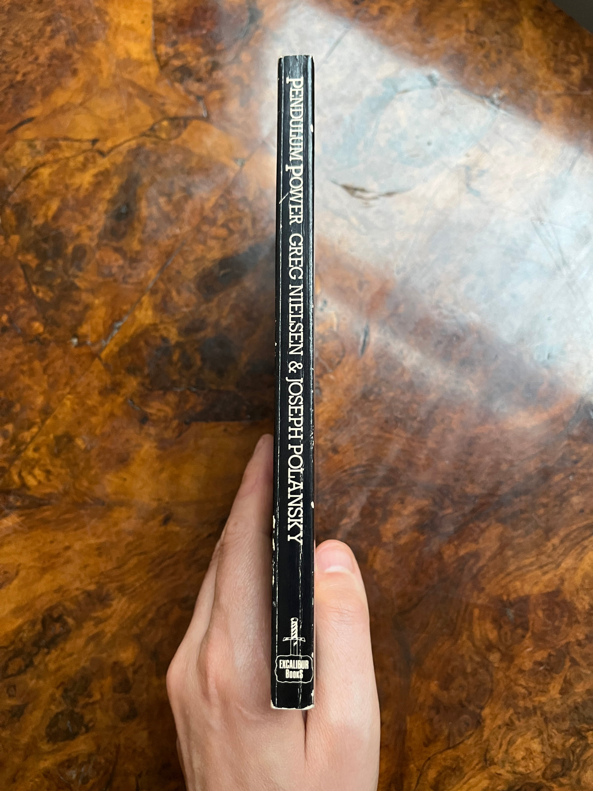 Pendulum Power - Greg Nielsen & Joseph Polansky