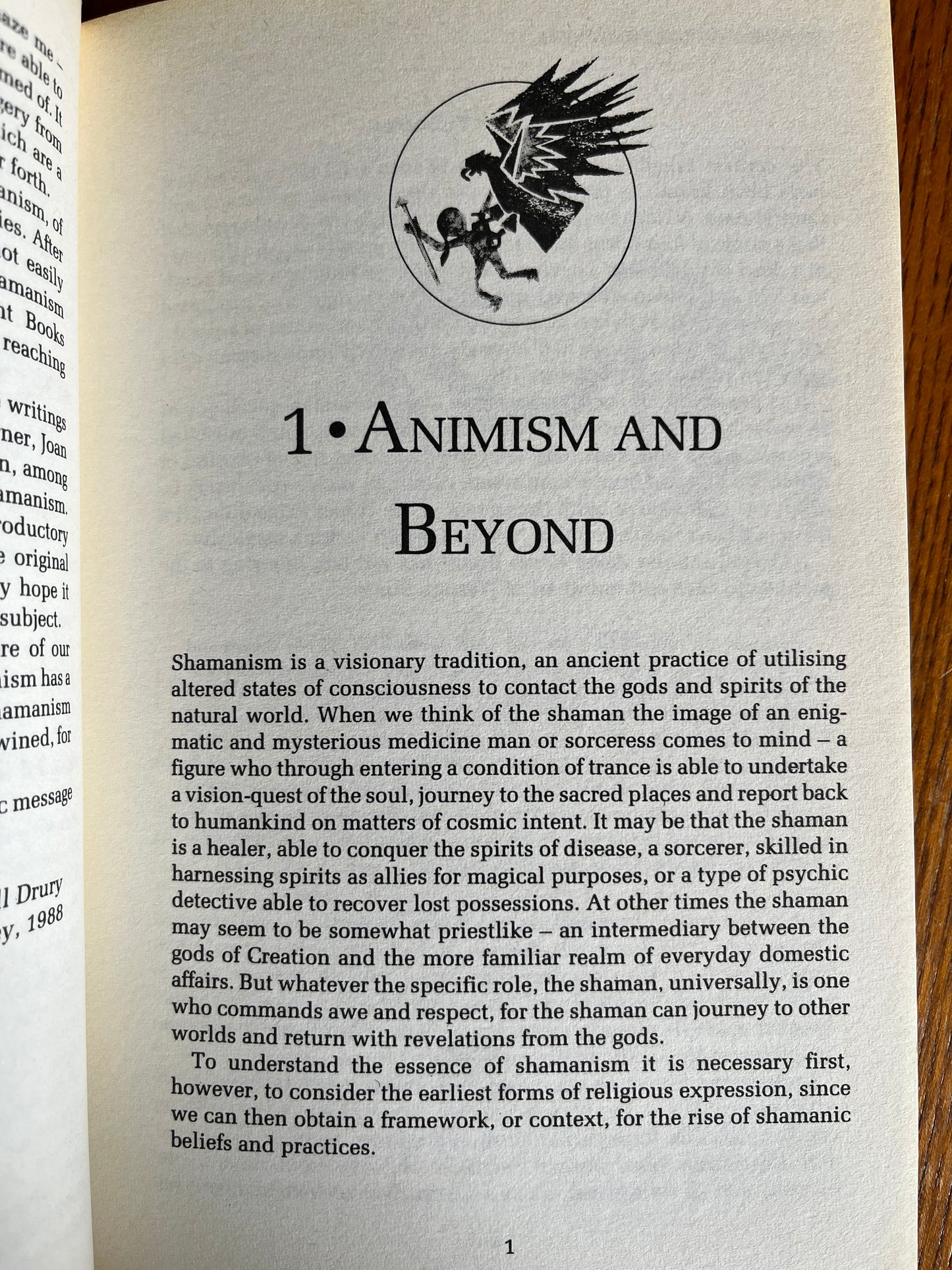 The Elements of Shamanism - Nevill Drury