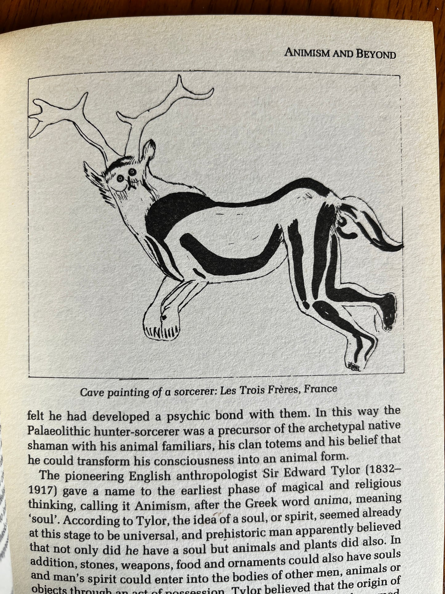The Elements of Shamanism - Nevill Drury