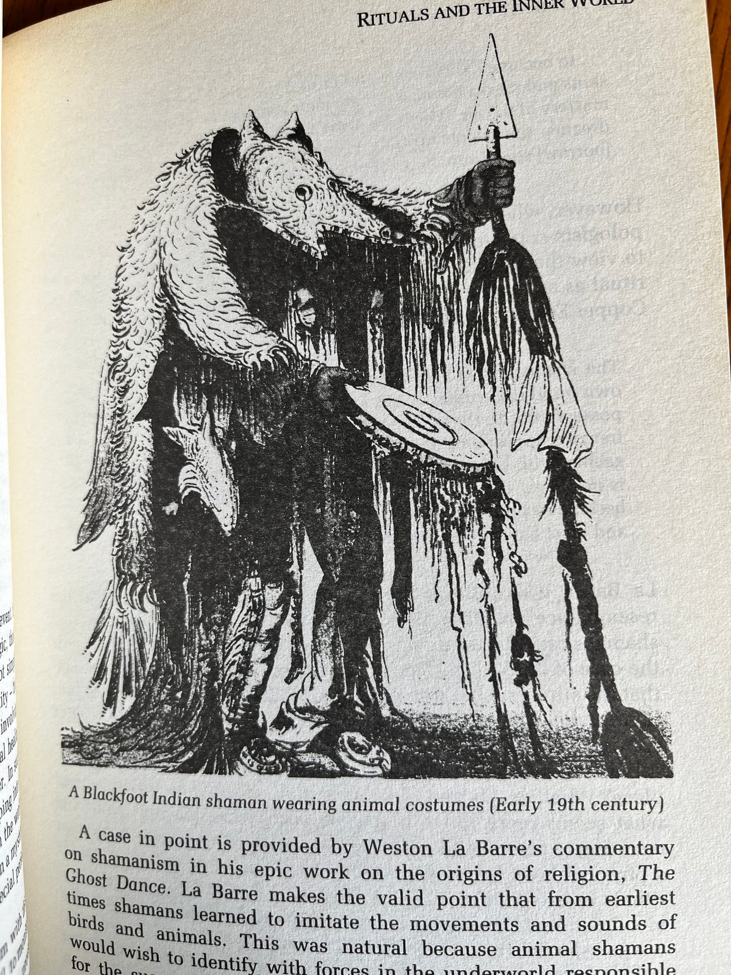 The Elements of Shamanism - Nevill Drury