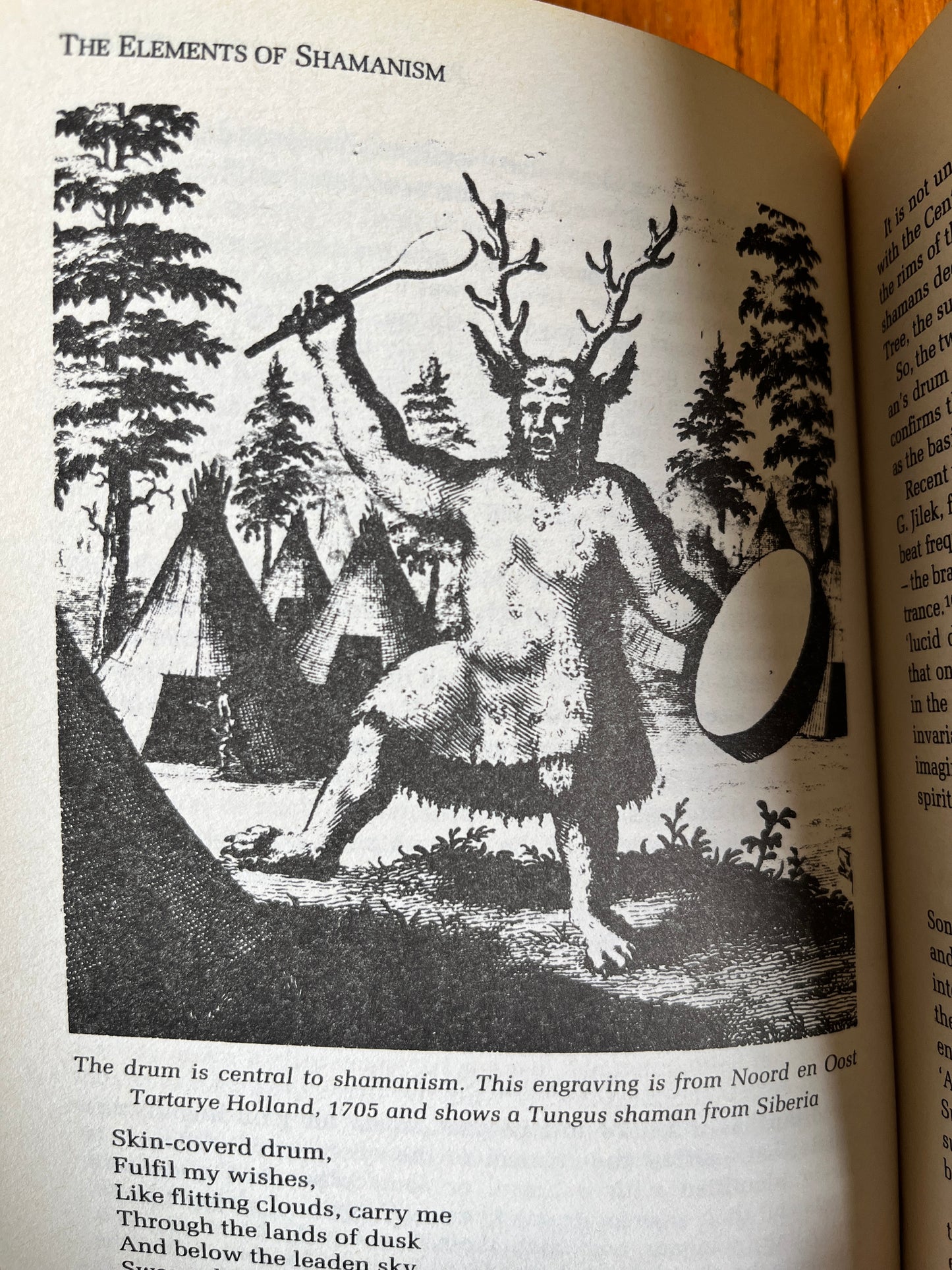 The Elements of Shamanism - Nevill Drury