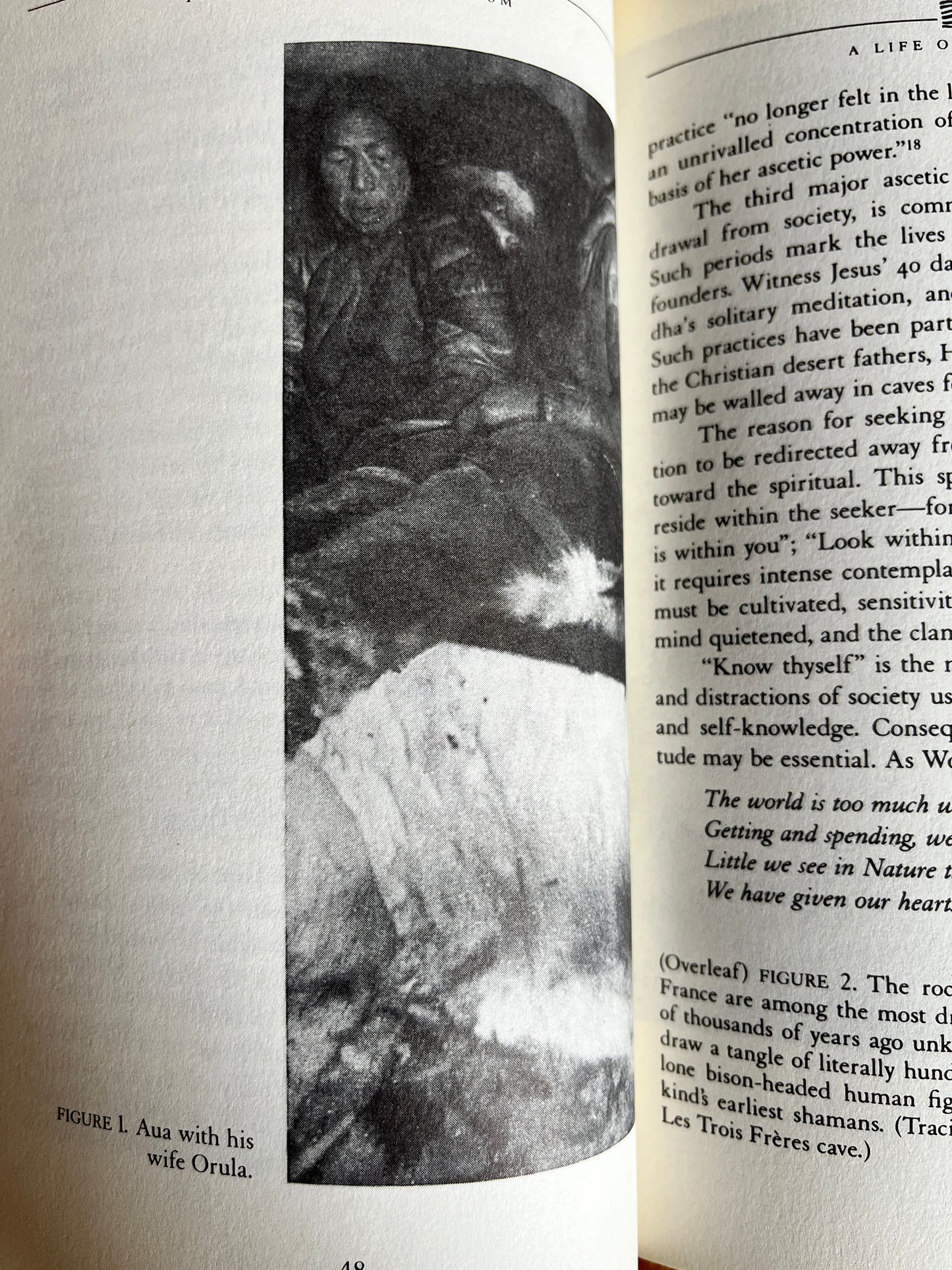 The Spirit of Shamanism - Roger N Walsh (First Edition)