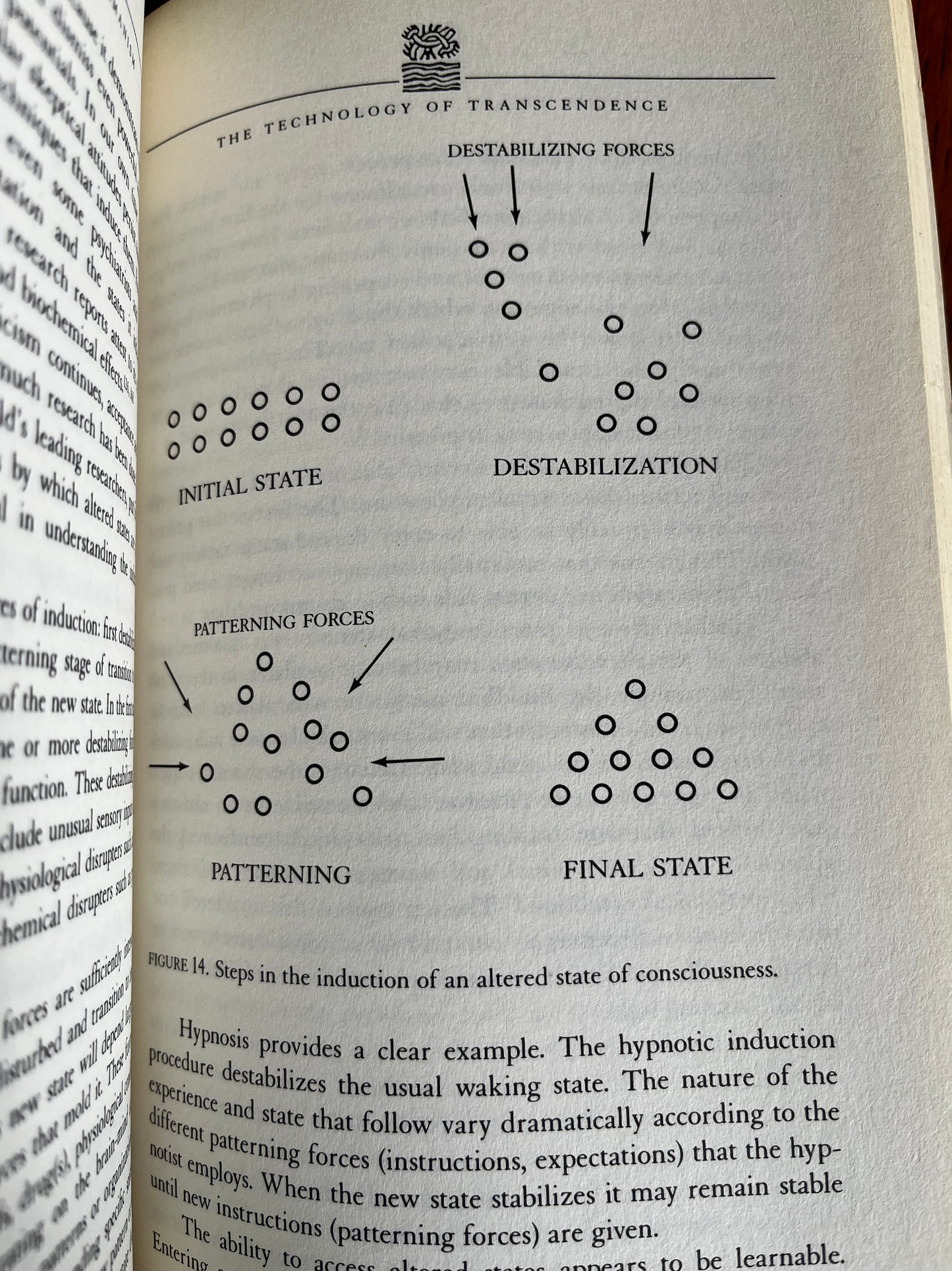 The Spirit of Shamanism - Roger N Walsh (First Edition)