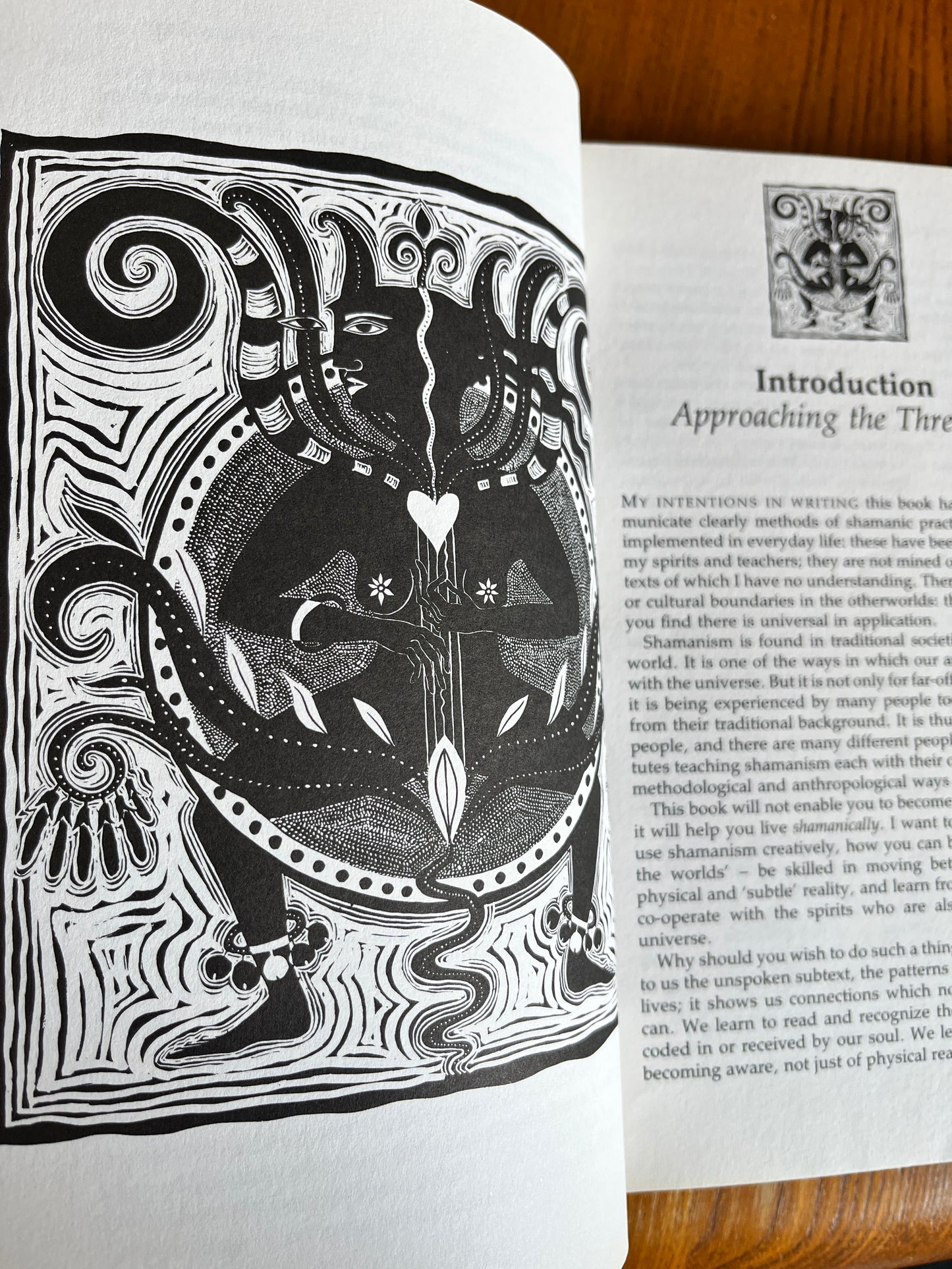 Singing the Soul Back Home: Shamanism in Daily Life - Caitlín Matthews