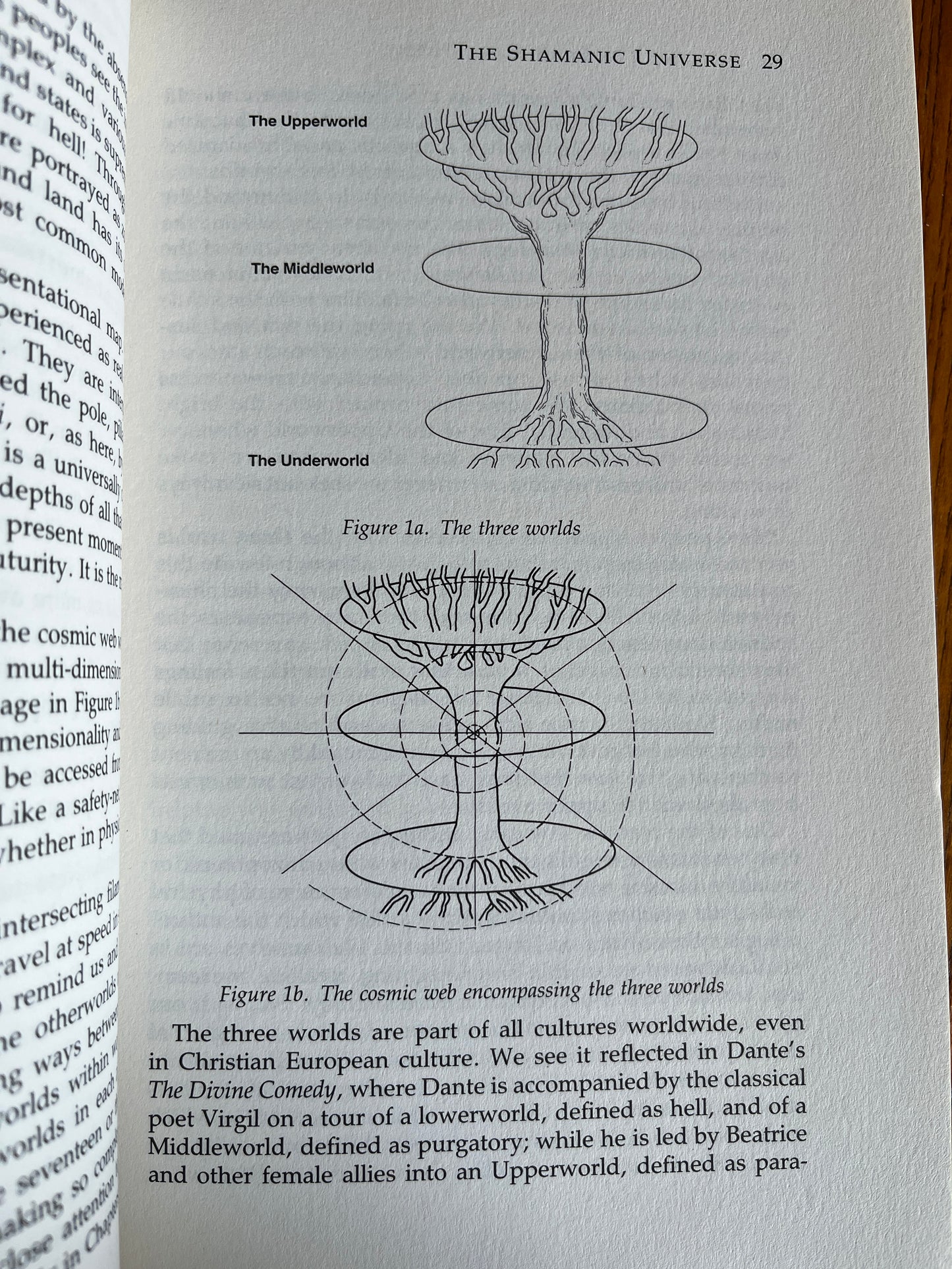 Singing the Soul Back Home: Shamanism in Daily Life - Caitlín Matthews