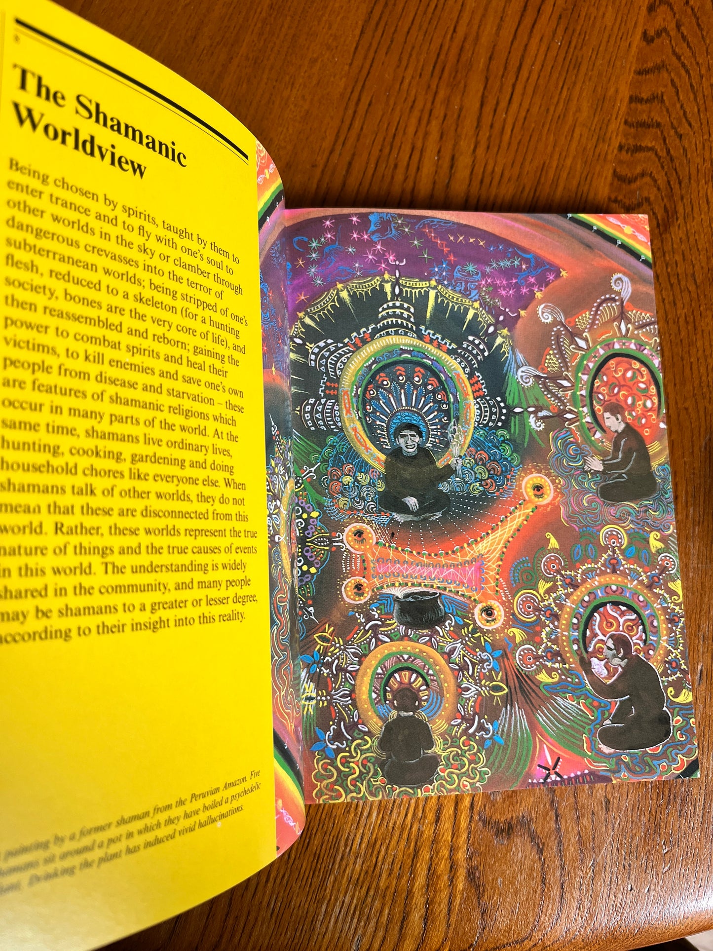 The Shaman - Piers Vitebsky (First Edition)