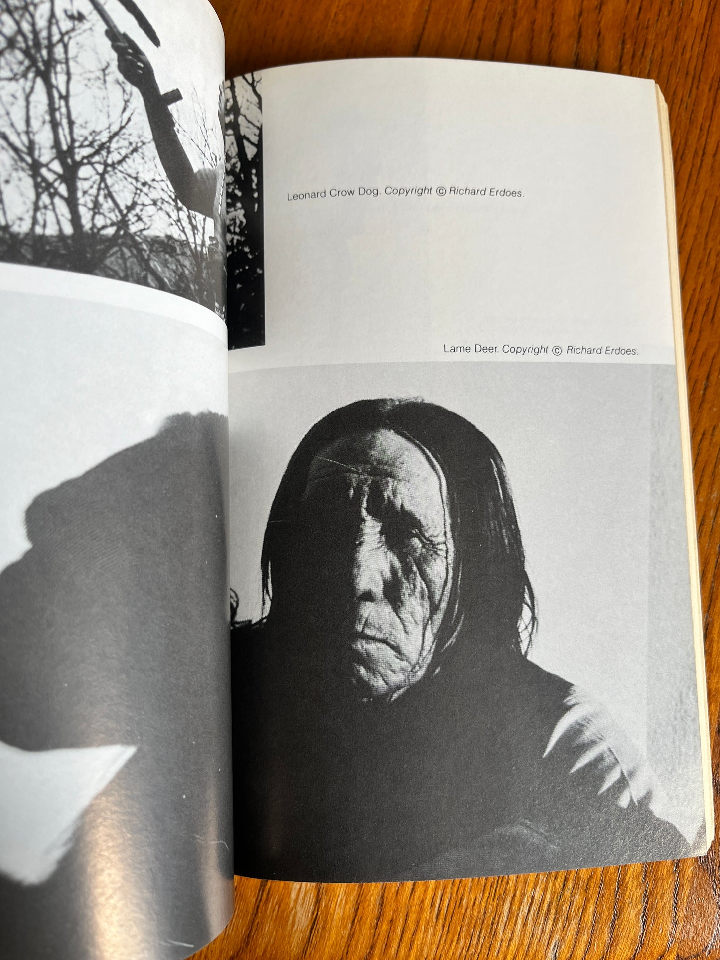 Shamanic Voices - Joan Halifax