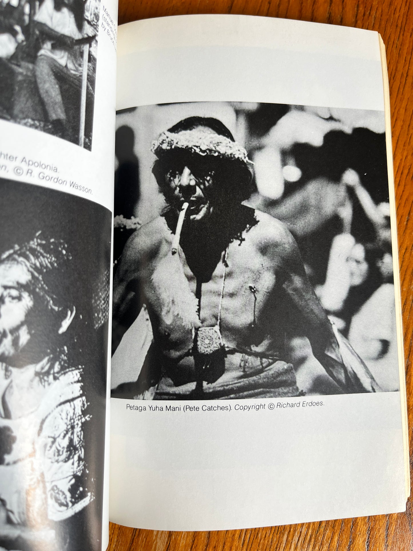 Shamanic Voices - Joan Halifax