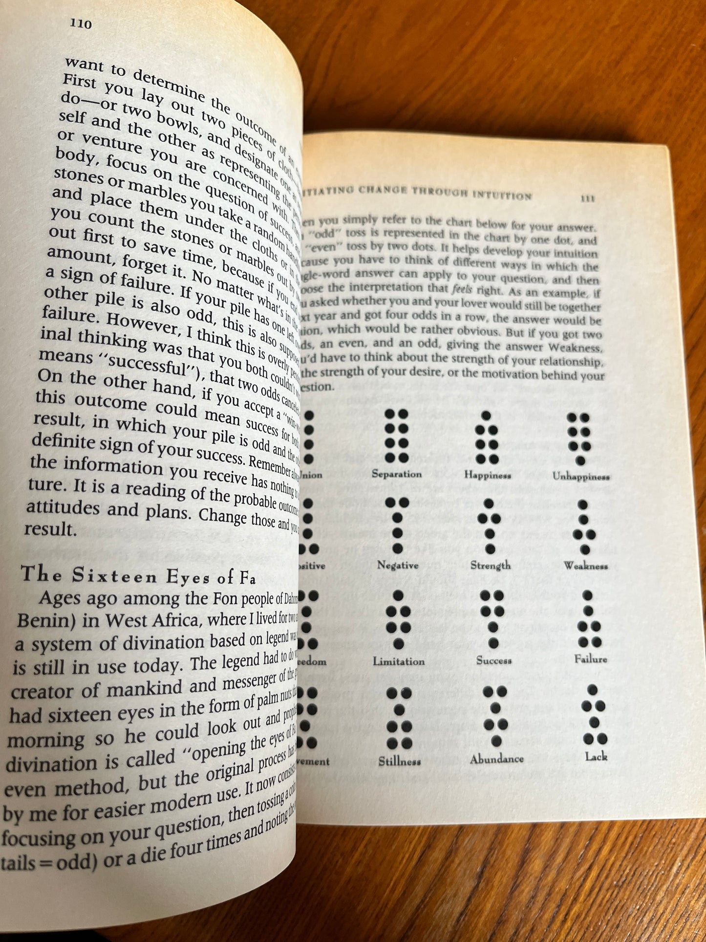Urban Shaman: The Hawaiin Way of the Adventurer - Serge Kahili King