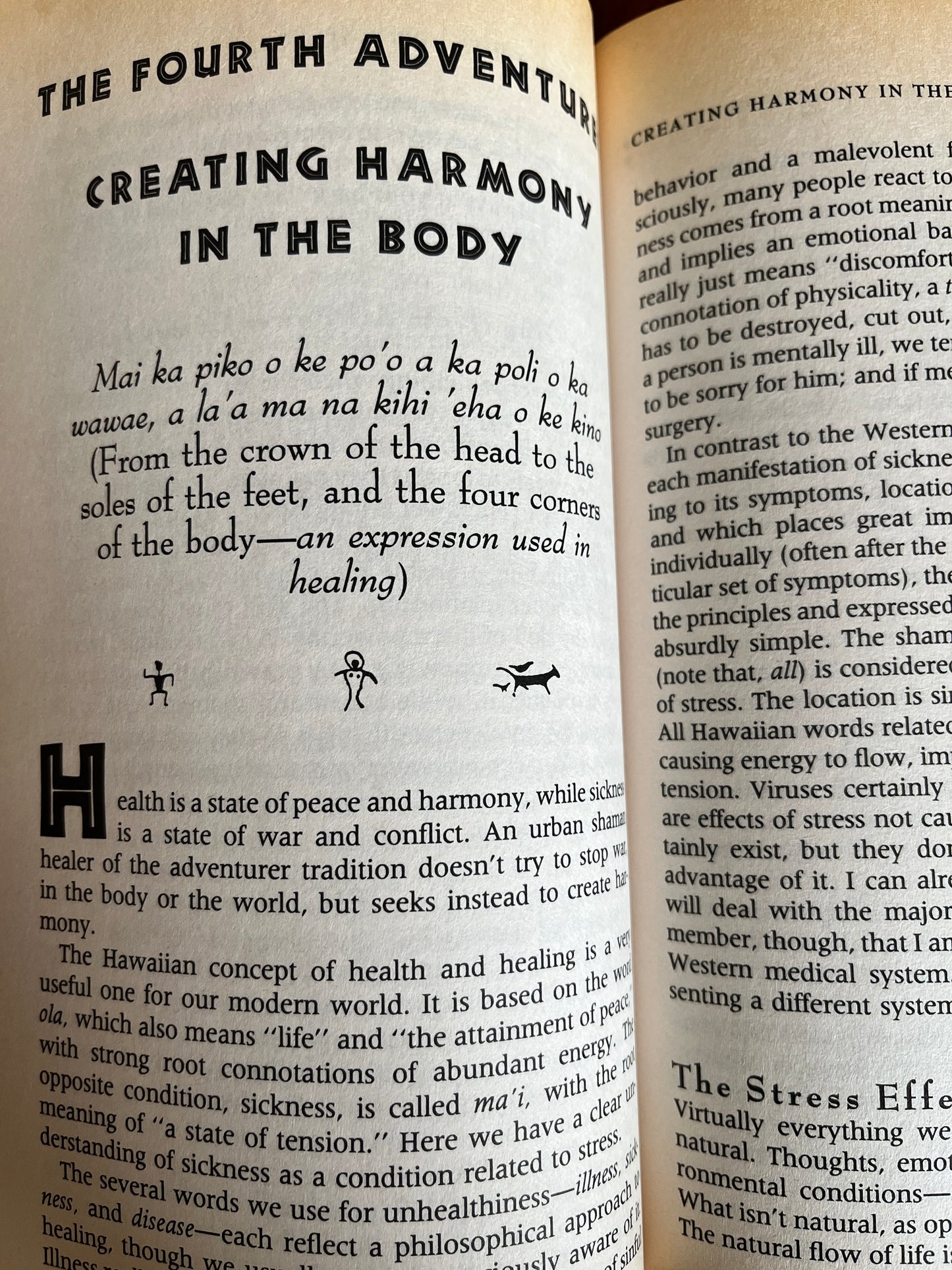 Urban Shaman: The Hawaiin Way of the Adventurer - Serge Kahili King